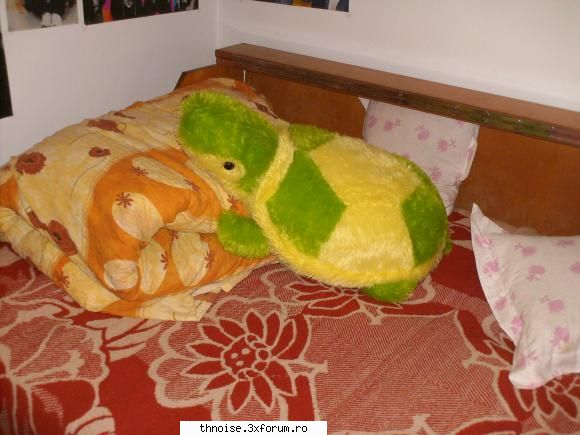 asta broasca &nbsp; &nbsp; &nbsp; fucky frog &nbsp; &nbsp; &nbsp;
