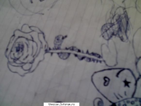 art[;x] trandafir fakt panarama &nbsp;